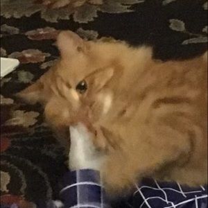 Meet your Posher, Averie